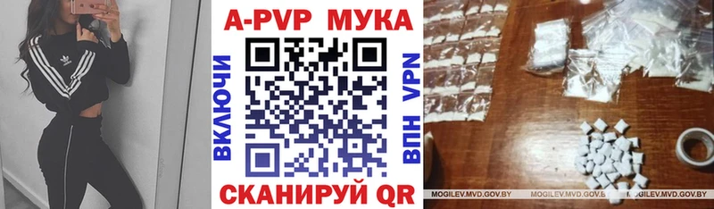 Купить закладки  Михайлов  Alfa_PVP мука 