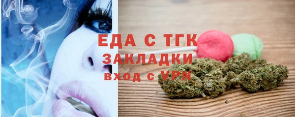 индика Новодвинск