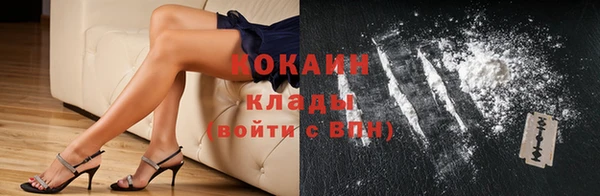 дживик Новозыбков