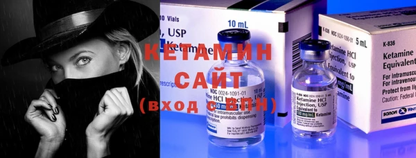индика Новодвинск