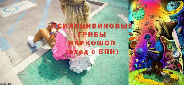 индика Новодвинск