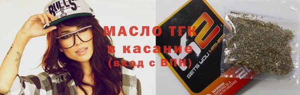 индика Новодвинск