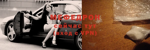 индика Новодвинск