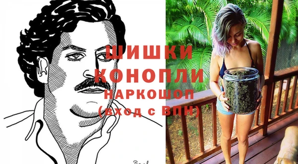 индика Новодвинск