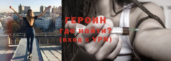 индика Новодвинск