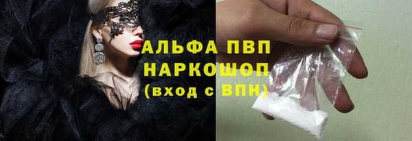 дживик Новозыбков