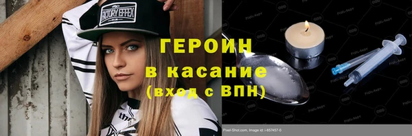 индика Новодвинск