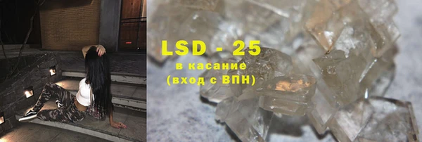 дживик Новозыбков