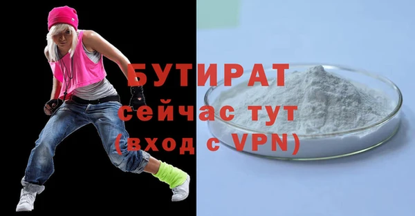 индика Новодвинск