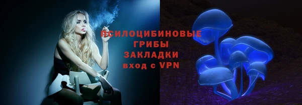 индика Новодвинск