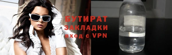 индика Новодвинск