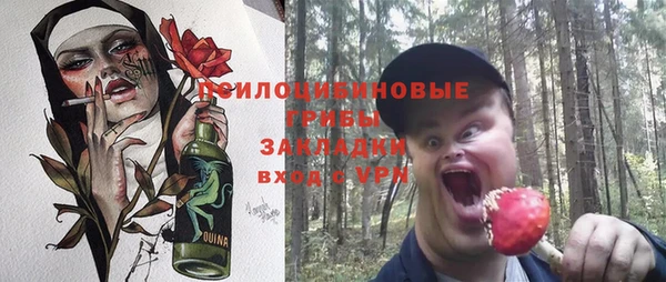 индика Новодвинск