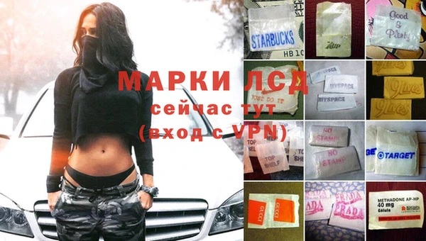 дживик Новозыбков