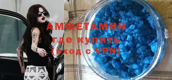 индика Новодвинск