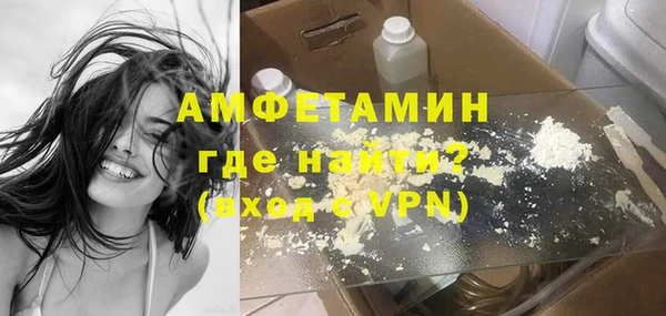 индика Новодвинск