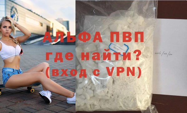 дживик Новозыбков