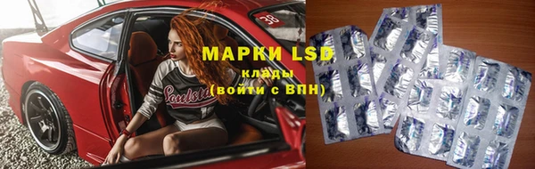 индика Новодвинск