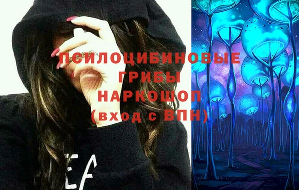 дживик Новозыбков