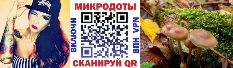 Купить закладки  Михайлов  Псилоцибиновые грибы Cubensis 